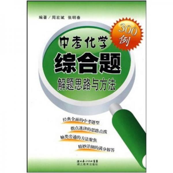 中考化学综合题解题思路与方法300例