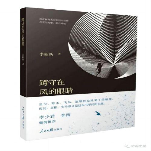蹲守在風的眼睛