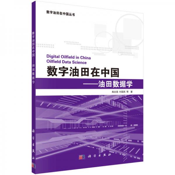 數(shù)字油田在中國 油田數(shù)據(jù)學(xué)