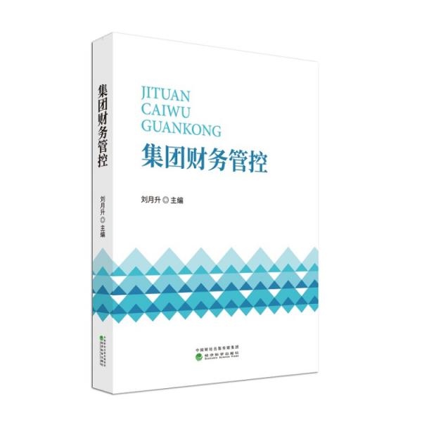 集團(tuán)財(cái)務(wù)管控