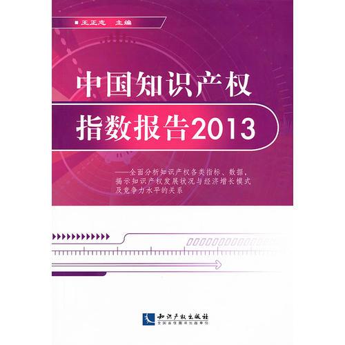 中国知识产权指数报告2013