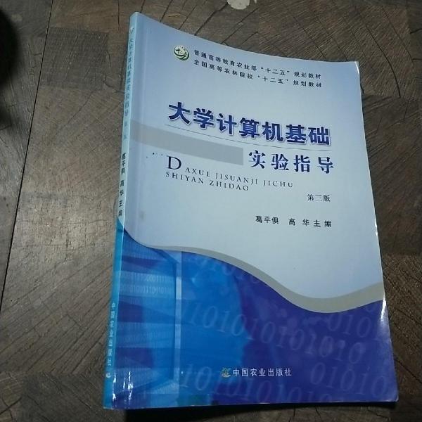 大學(xué)計(jì)算機(jī)基礎(chǔ)實(shí)驗(yàn)指導(dǎo)