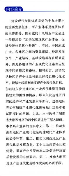 大湘西地区产业现代化路径研究：基于四个典型区县的调研