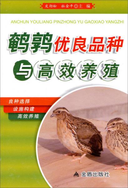 鵪鶉優(yōu)良品種與高效養(yǎng)殖