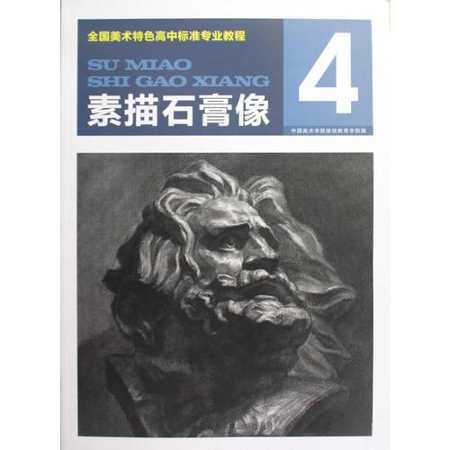 高中專業(yè)教程 素描石膏像