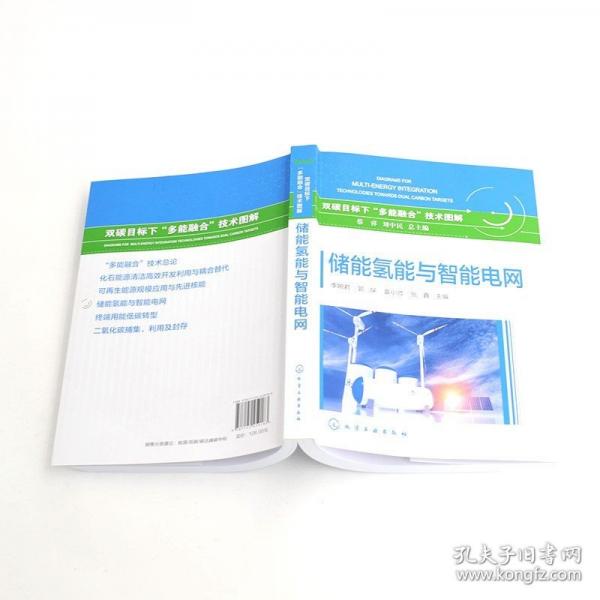 儲(chǔ)能氫能與智能電網(wǎng)