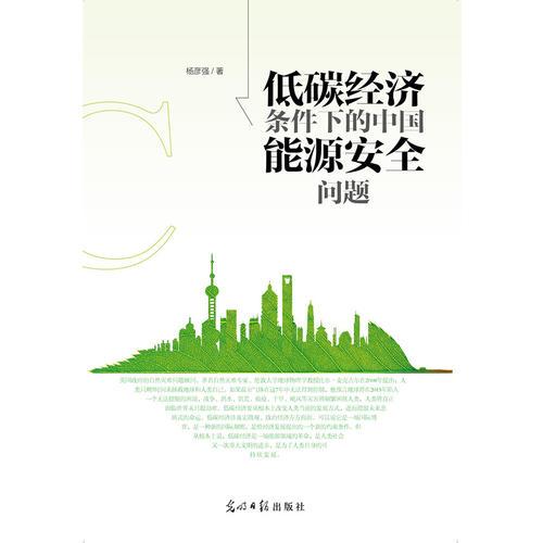 低碳經(jīng)濟(jì)條件下的中國能源安全問題
