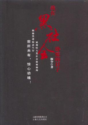 我在黑社會臥底的日子