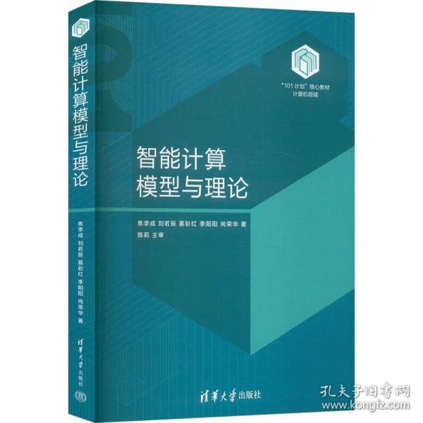 智能計算模型與理論 軟硬件技術(shù)