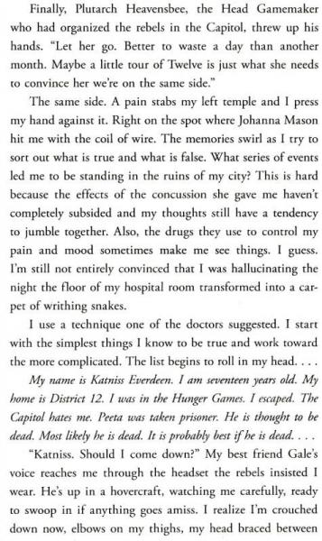 Mockingjay [饥饿游戏3：自由幻梦]