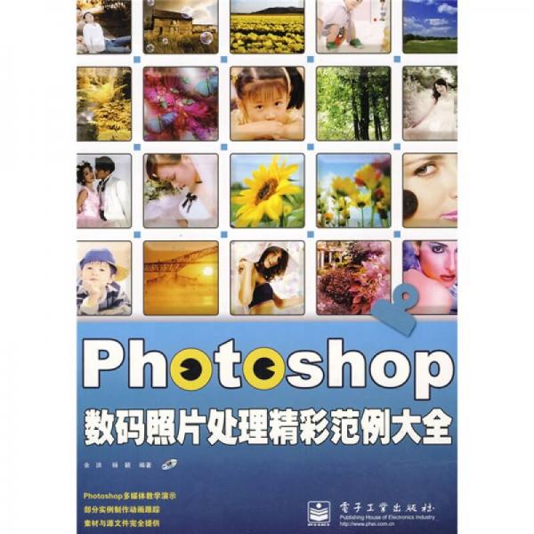 Photoshop数码照片处理精彩范例大全（全彩）