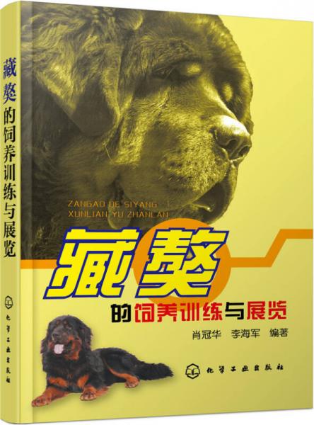 藏獒的飼養(yǎng)訓(xùn)練與展覽