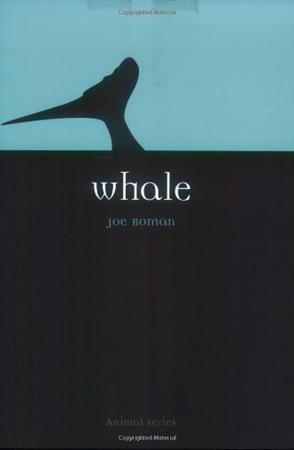 Whale