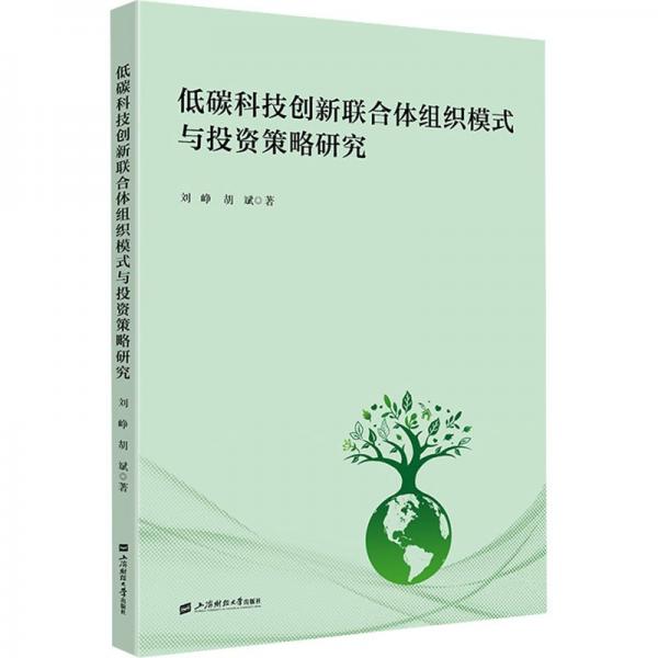 低碳科技創(chuàng)新聯(lián)合體組織模式與投資策略研究