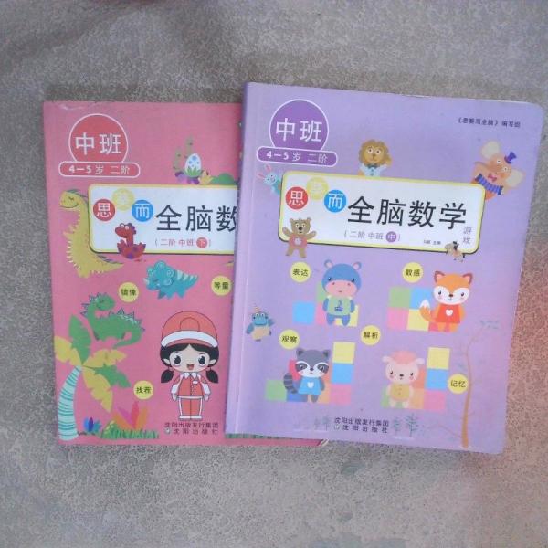 思葵而全腦數(shù)學(xué) 二階中班（中、下）