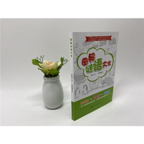 小学生超强大脑训练游戏书--图解谜语大全