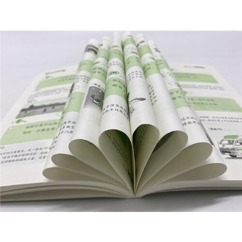 小学生超强大脑训练游戏书--图解谜语大全