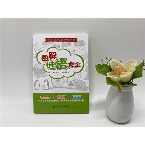 小学生超强大脑训练游戏书--图解谜语大全
