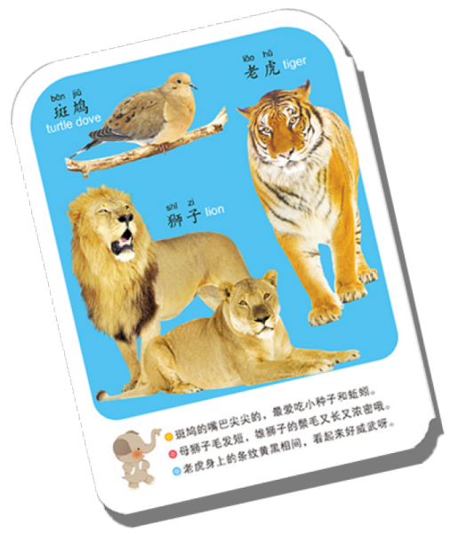 阳光宝贝 撕不烂认知全书·世界名车