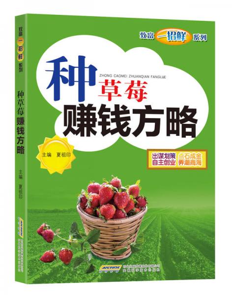 種草莓賺錢方略