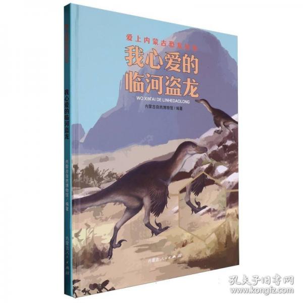 我心愛的臨河盜龍