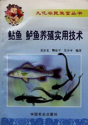 鲈鱼、鲈鱼养殖实用技术