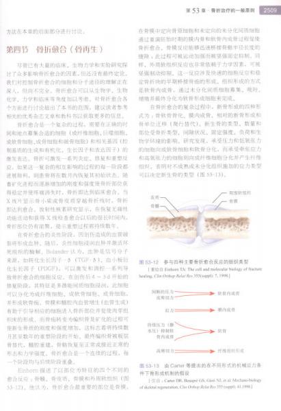 坎贝尔骨科手术学