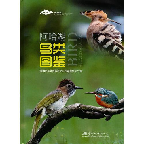 阿哈湖鳥類圖鑒(精)