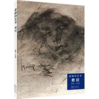素描的藝術(shù). 費欣