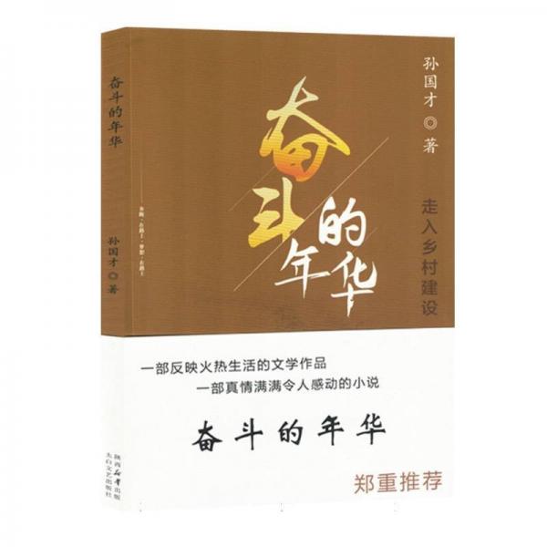 奮斗的年華(走入鄉(xiāng)村建設)