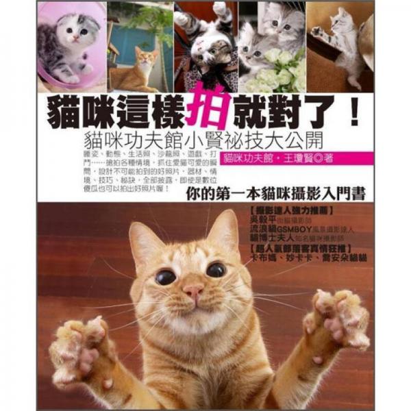 貓咪這樣拍攝就對了！貓咪功夫館小賢秘笈大公開