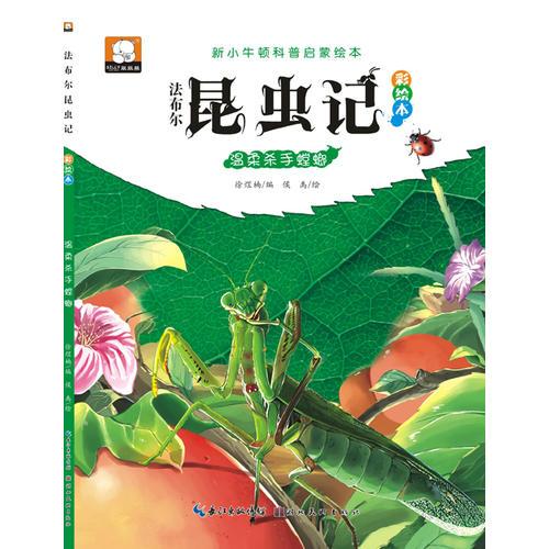 法布尔昆虫记（彩绘本）·温柔杀手螳螂