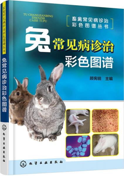 畜禽常见病诊治彩色图谱丛书--兔常见病诊治彩色图谱