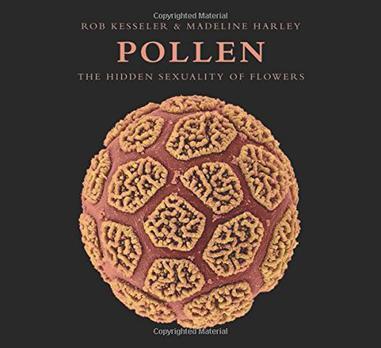 Pollen：The Hidden Sexuality of Flowers
