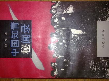 中國(guó)知青秘聞錄