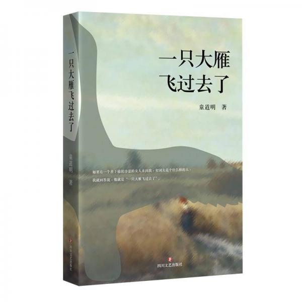 一只大雁飛過去了