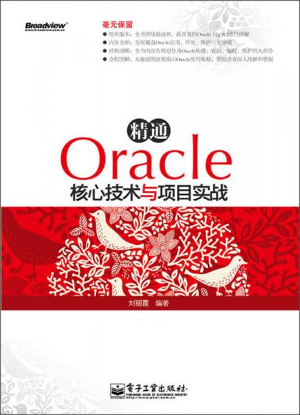 精通Oracle核心技术与项目实战