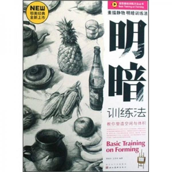 造型基礎(chǔ)訓(xùn)練方法叢書：素描靜物明暗訓(xùn)練法