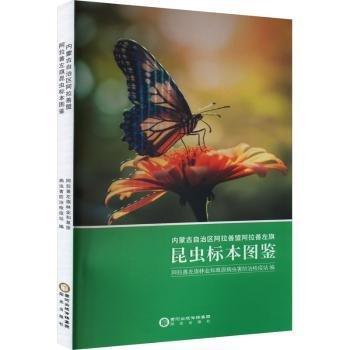 內(nèi)蒙古自治區(qū)阿拉善盟阿拉善左旗昆蟲標(biāo)本圖鑒