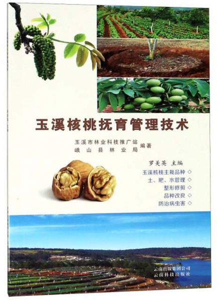 玉溪核桃撫育管理技術