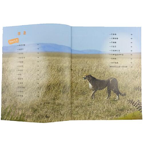 假如你是一只动物：花园领地争夺战