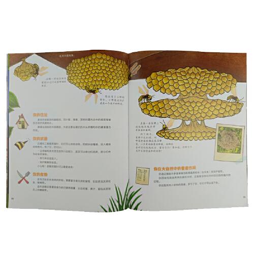 假如你是一只动物：花园领地争夺战