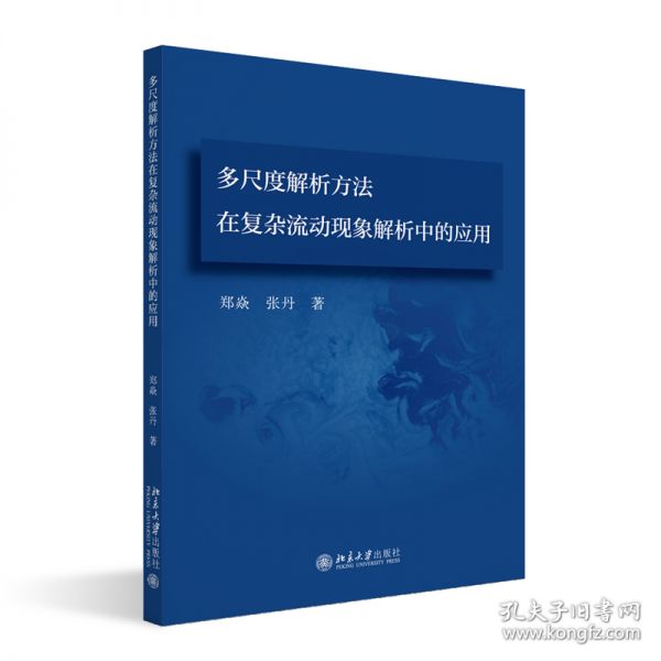 多尺度解析方法在复杂流动现象解析中的应用
