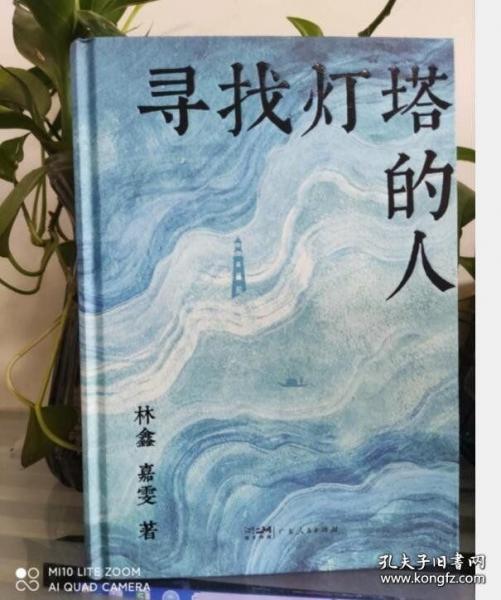 寻找灯塔的人