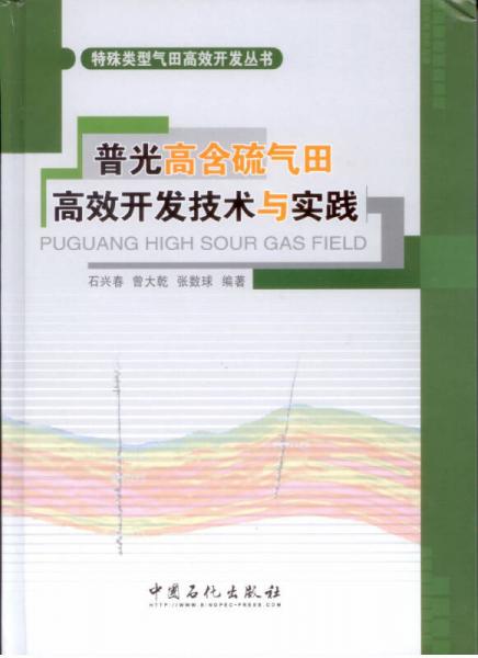 特殊类型气田高效开发丛书：普光高含硫气田高效开发技术与实践