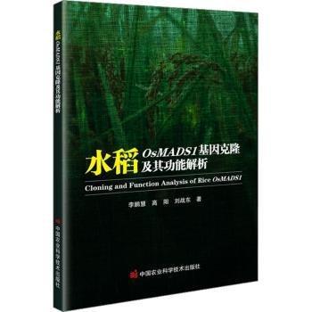 水稻OsMADS1基因克隆及其功能解析
