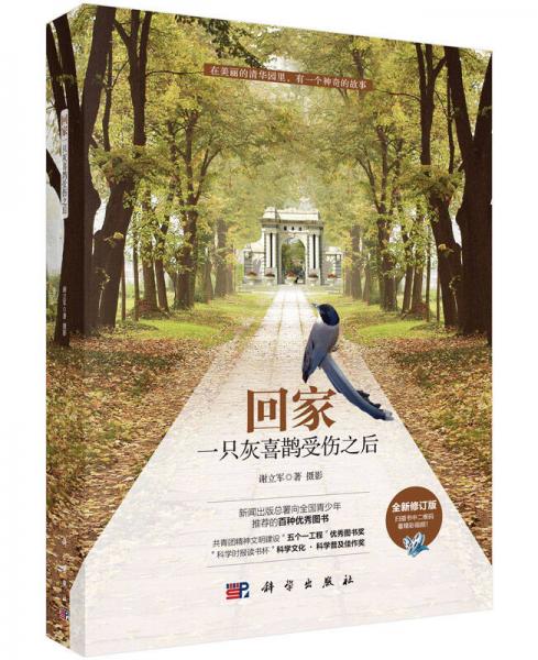 回家 一只灰喜鵲受傷之后