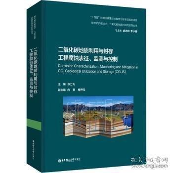 二氧化碳地质利用与封存工程腐蚀表征、监测与控制