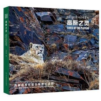 全新正版圖書 高原之靈:青藏高原東部野生動(dòng)物呂玲瓏四川科學(xué)技術(shù)出版社9787572707735