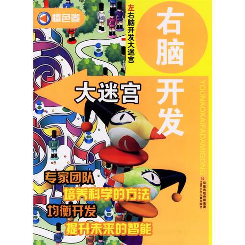 右腦開發(fā)大迷宮·橙色卷/左右腦開發(fā)大迷宮